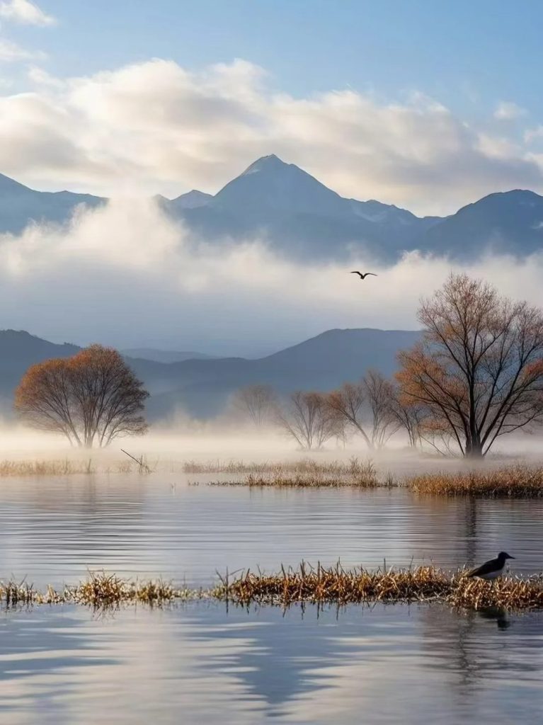 6 诗书画印 来自小红书网页版