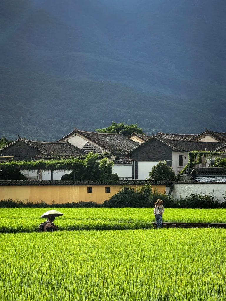 大理day1：喜洲古镇 1 colin... 来自小红书网页版