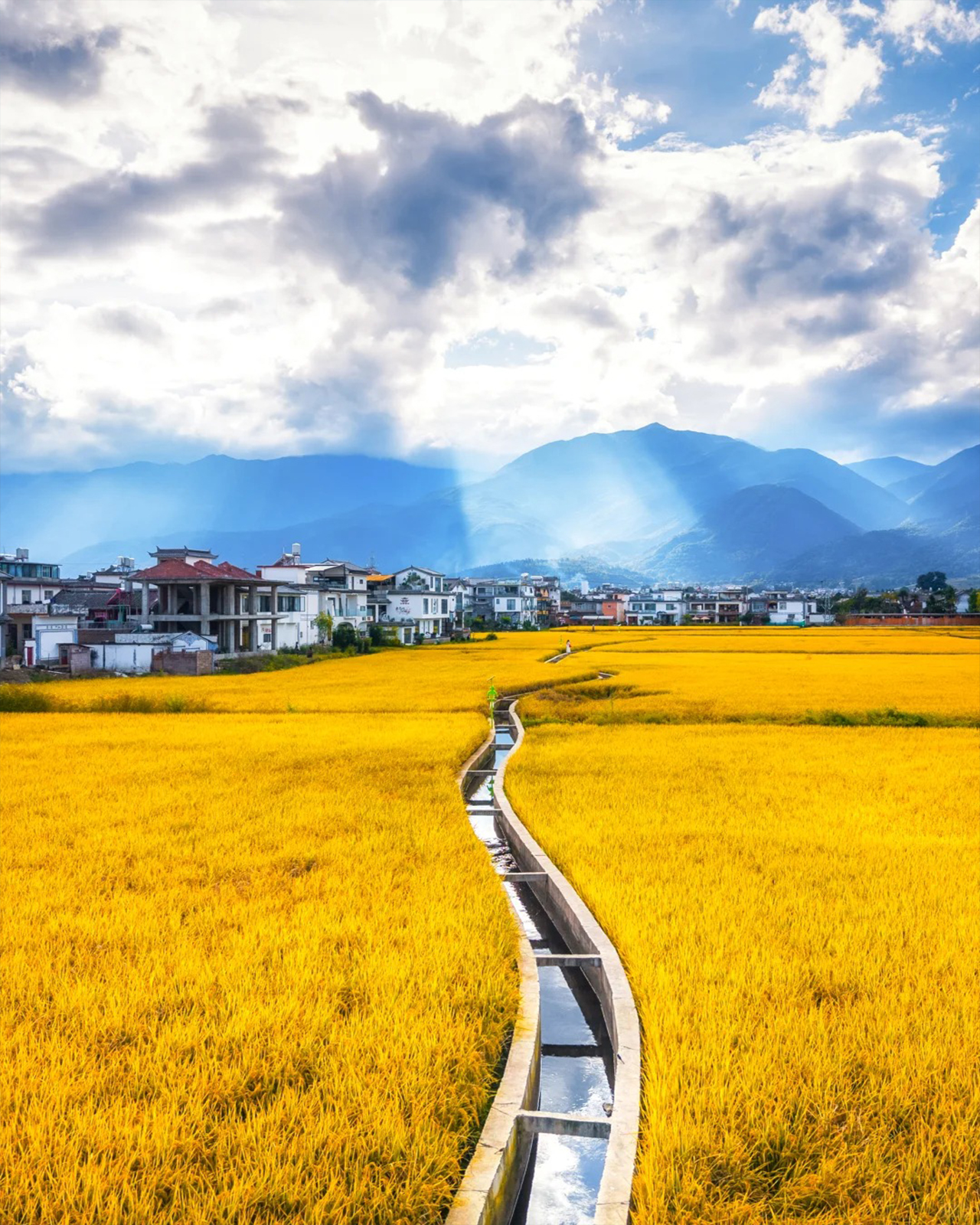 大理喜洲古镇已经美到下一个level了 2 carpediem. 来自小红书网页版